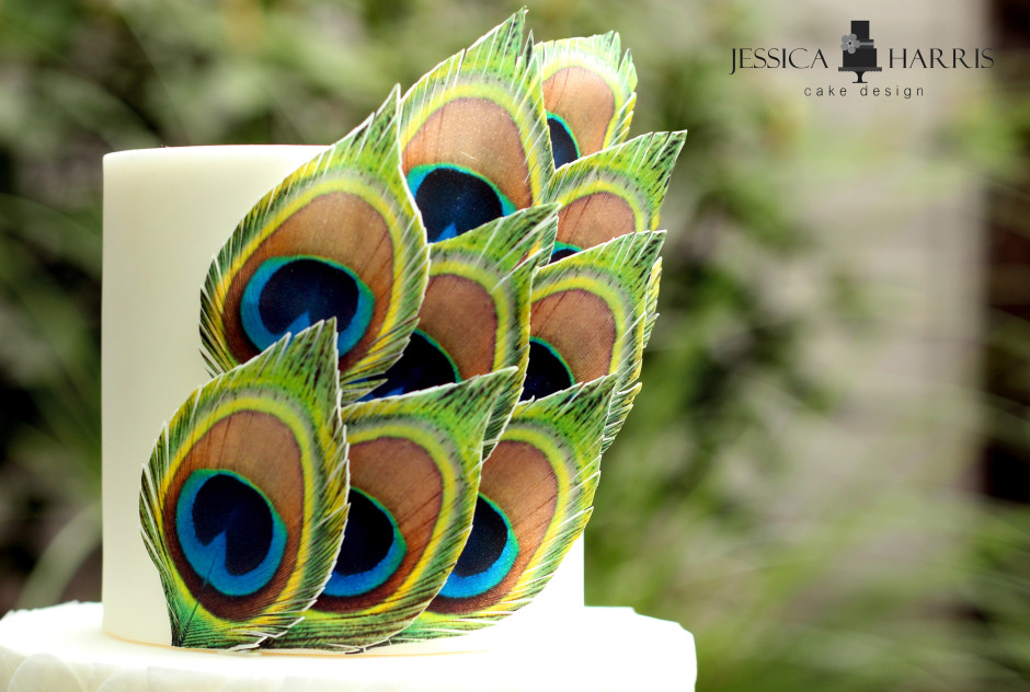 Peacock Feathers Close up edited wm